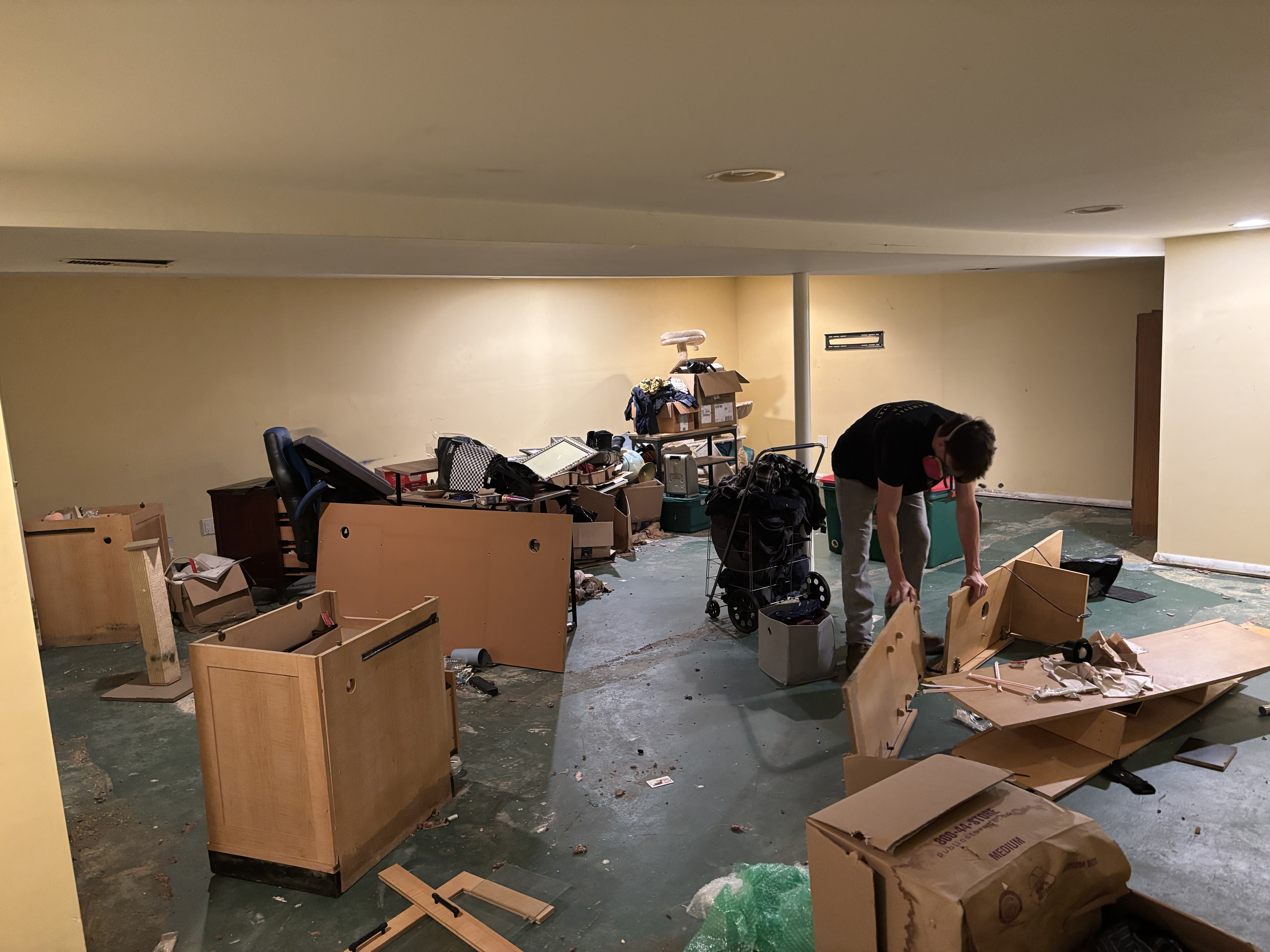 Large estate cleanout in progress — furniture and boxes throughout