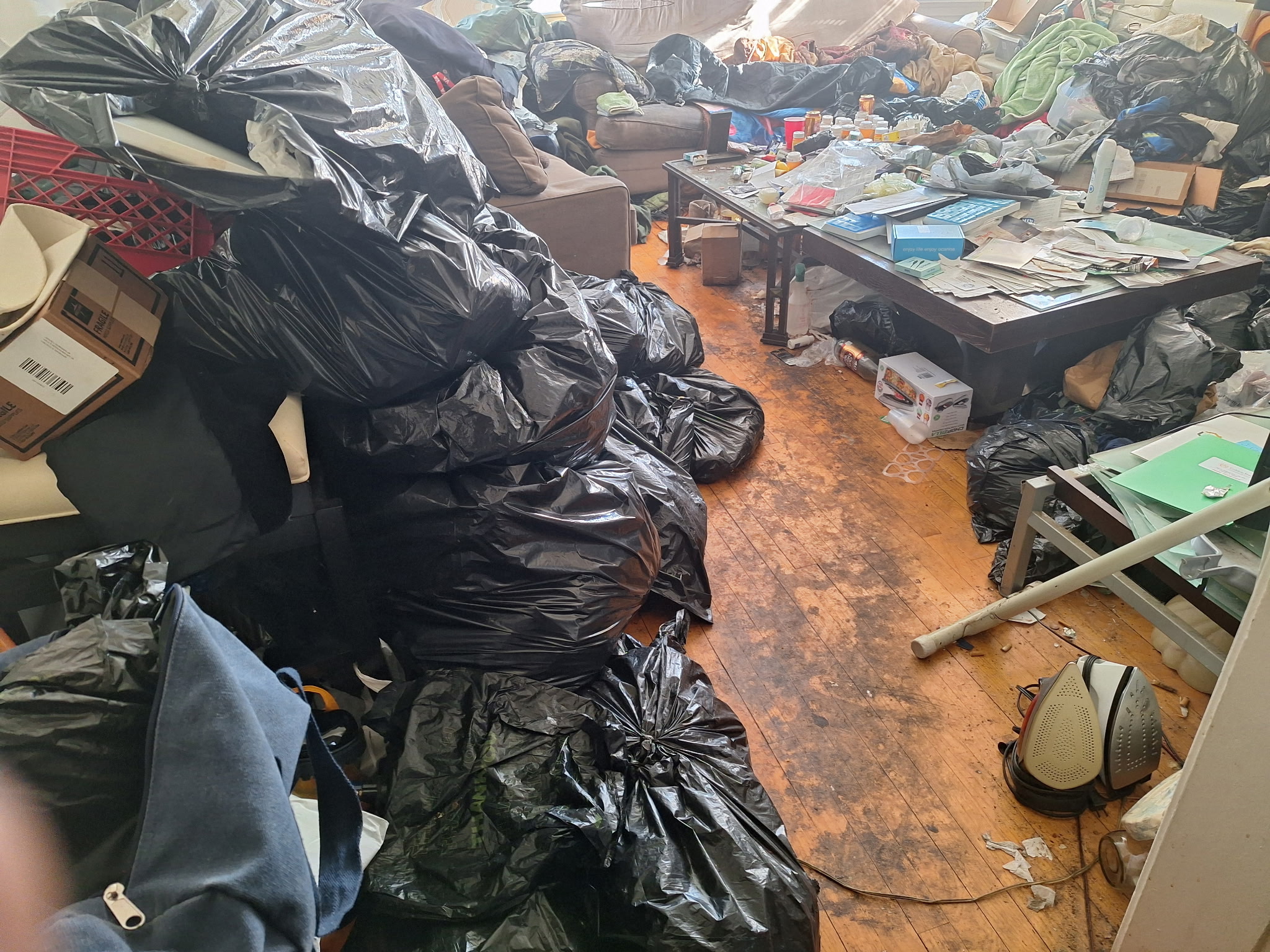 Hoarding cleanout job