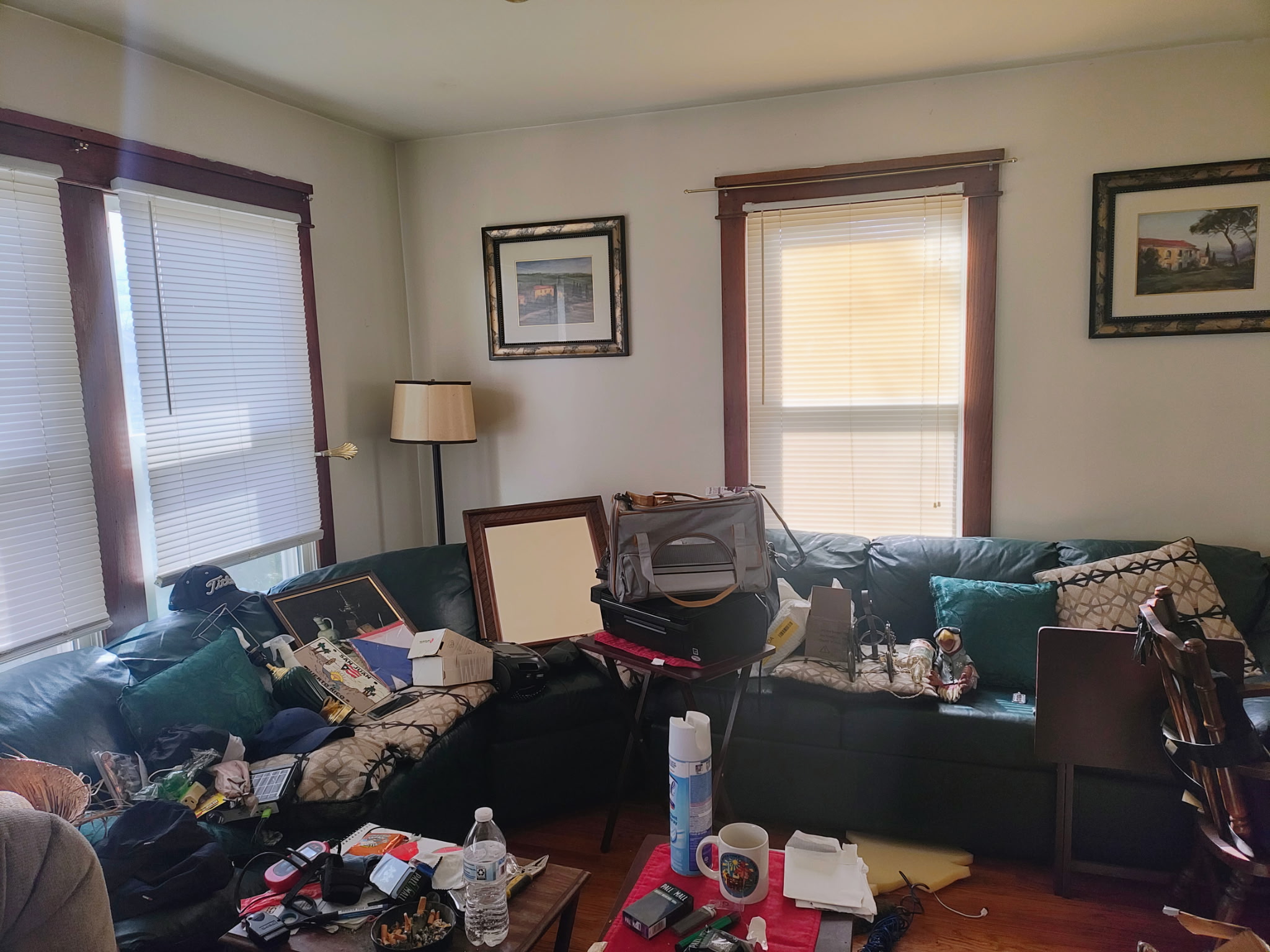 Living room cleanout
